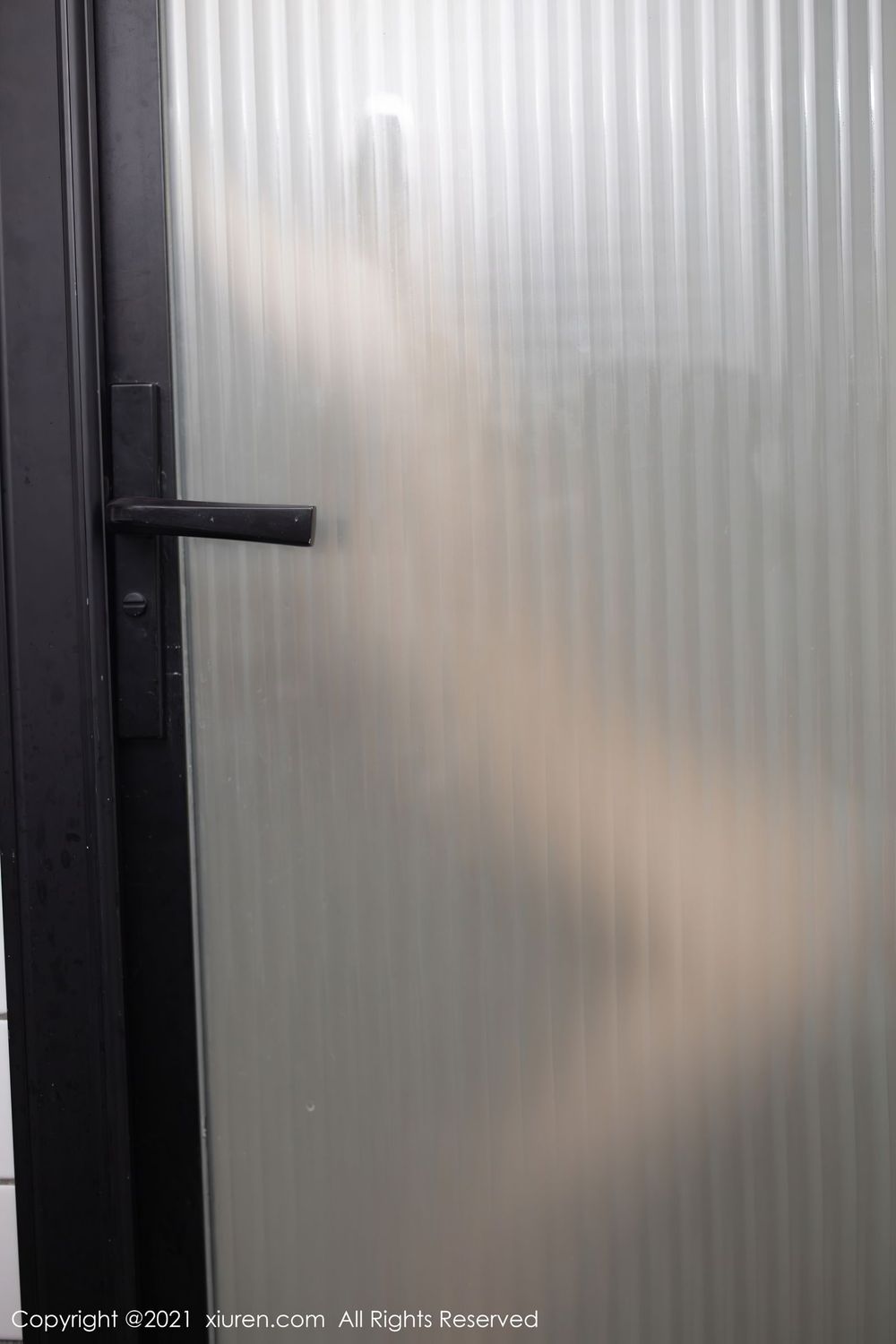 [XiuRen秀人网] 美女模特鱼子酱Fish - 邻居借水丝袜美腿系列套图 No.3036