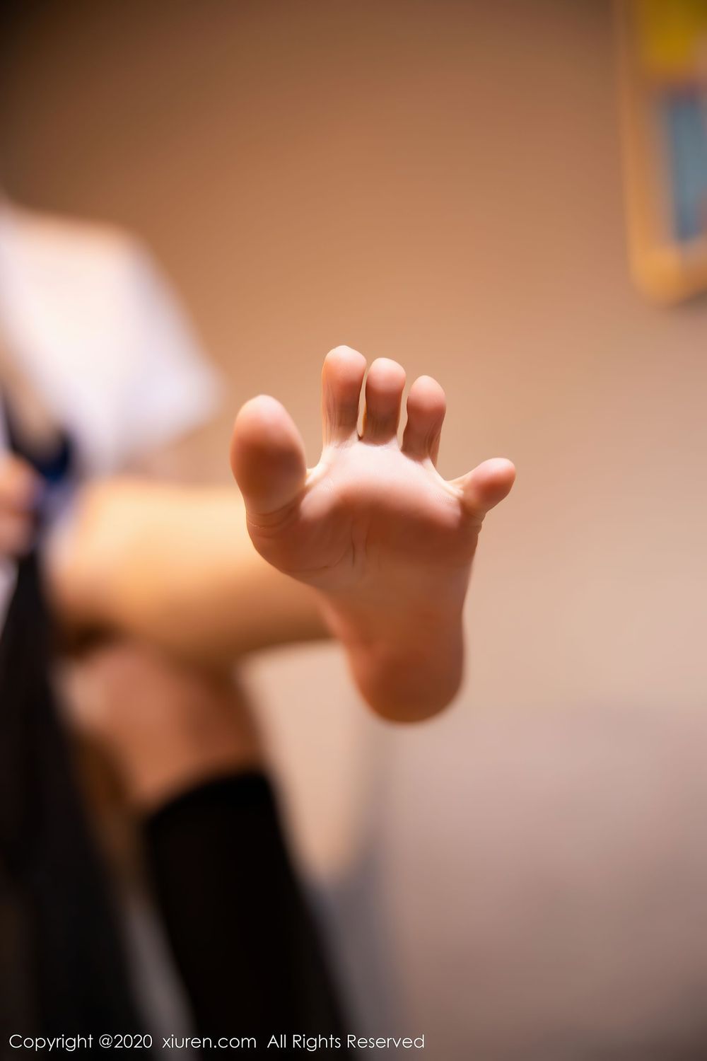 [XiuRen秀人网] 性感女神杨晨晨sugar - 黑丝美腿内衣诱惑私房写真 No.2631