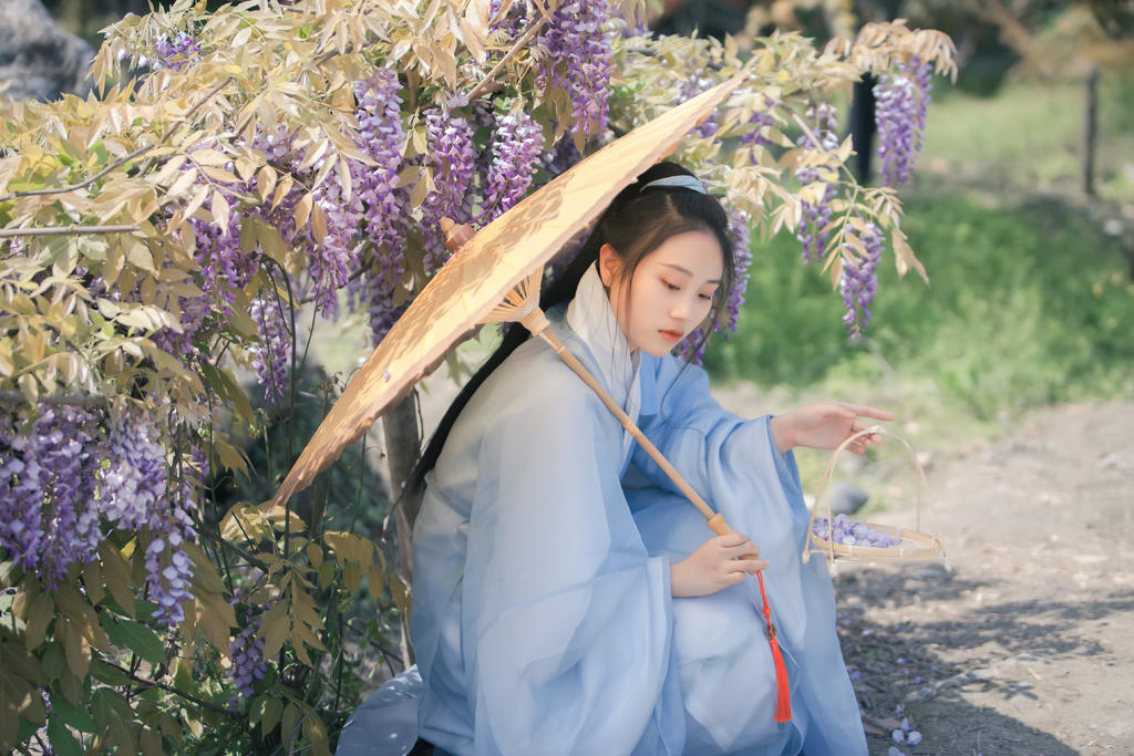 古装美女手撑油伞漫步紫藤美图