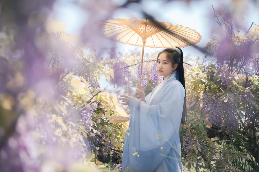古装美女手撑油伞漫步紫藤美图