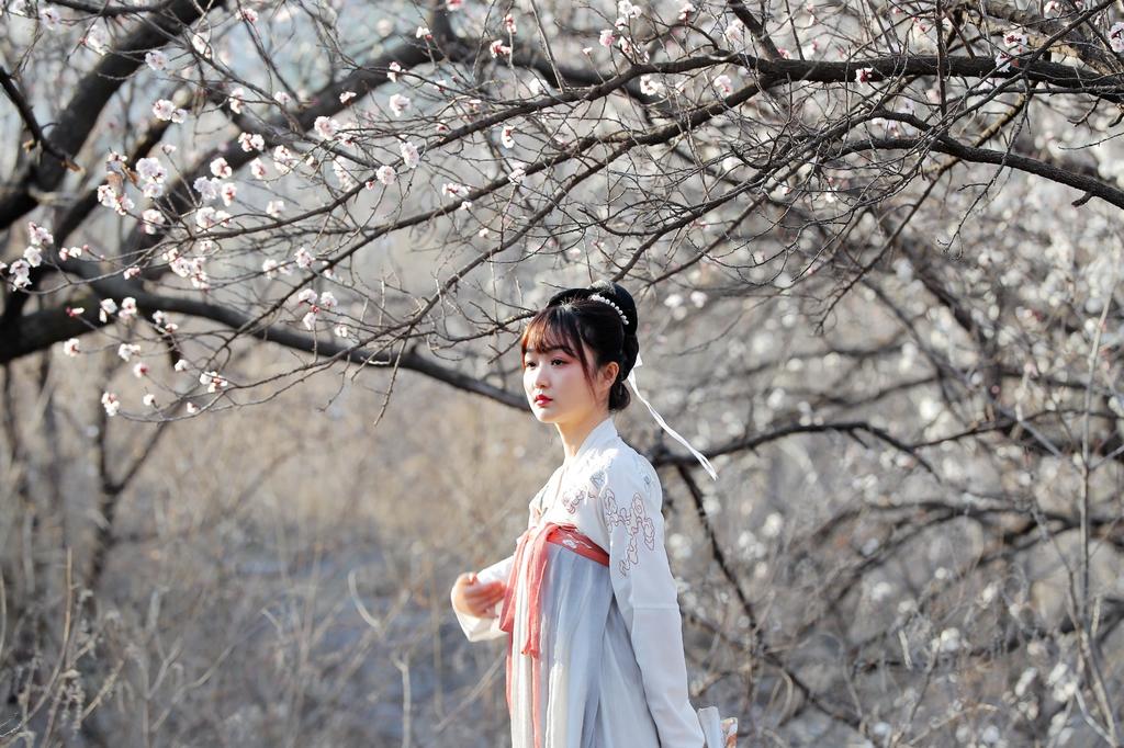 汉服美女樱花树下唯美古风摄影