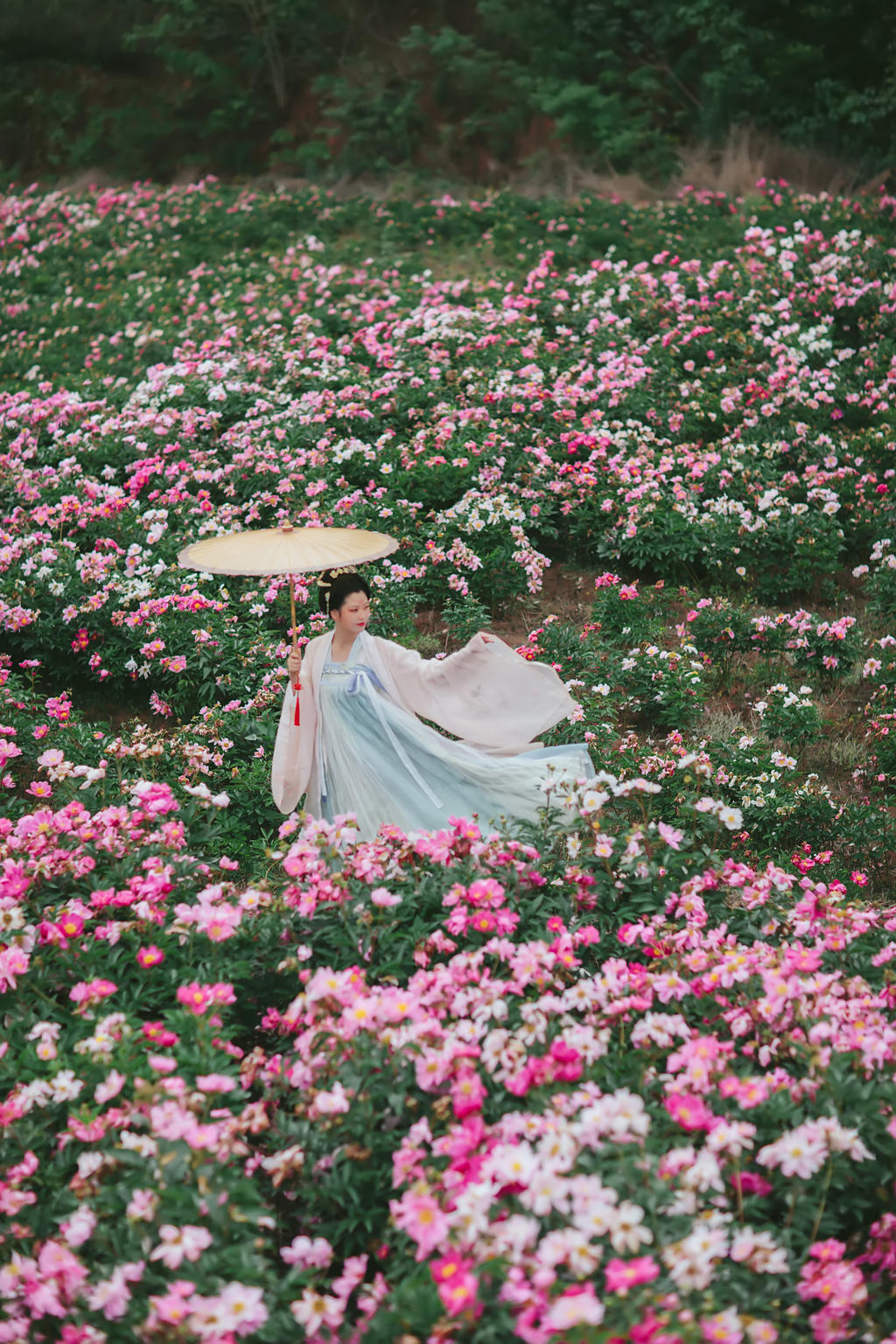 汉服美女置身花海唯美浪漫图片