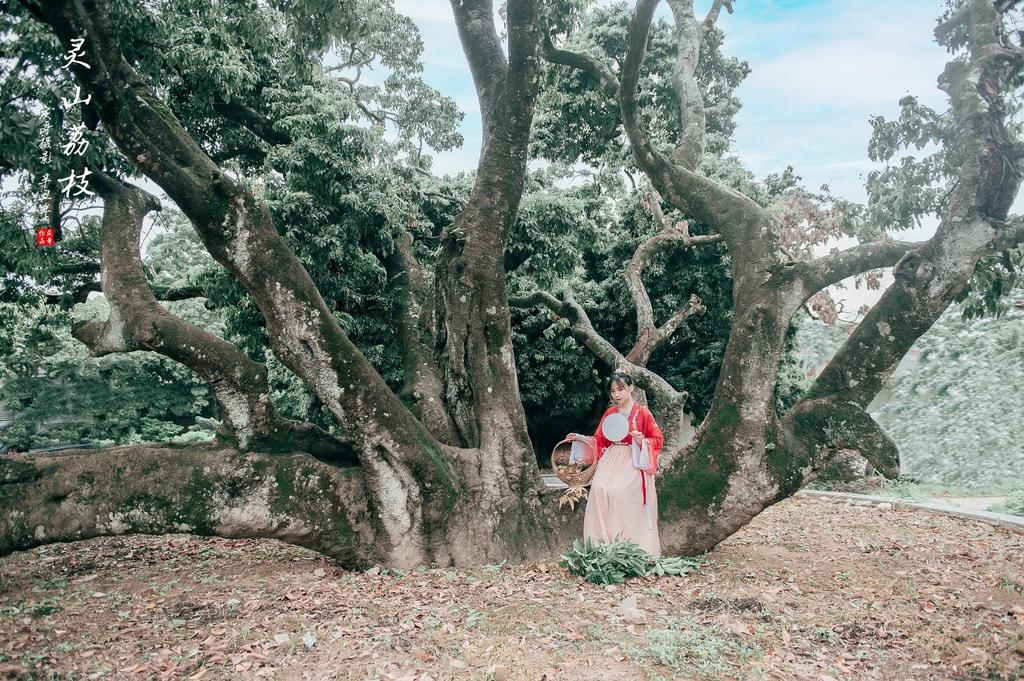 娇小玲珑汉服美女红妆素裹图片