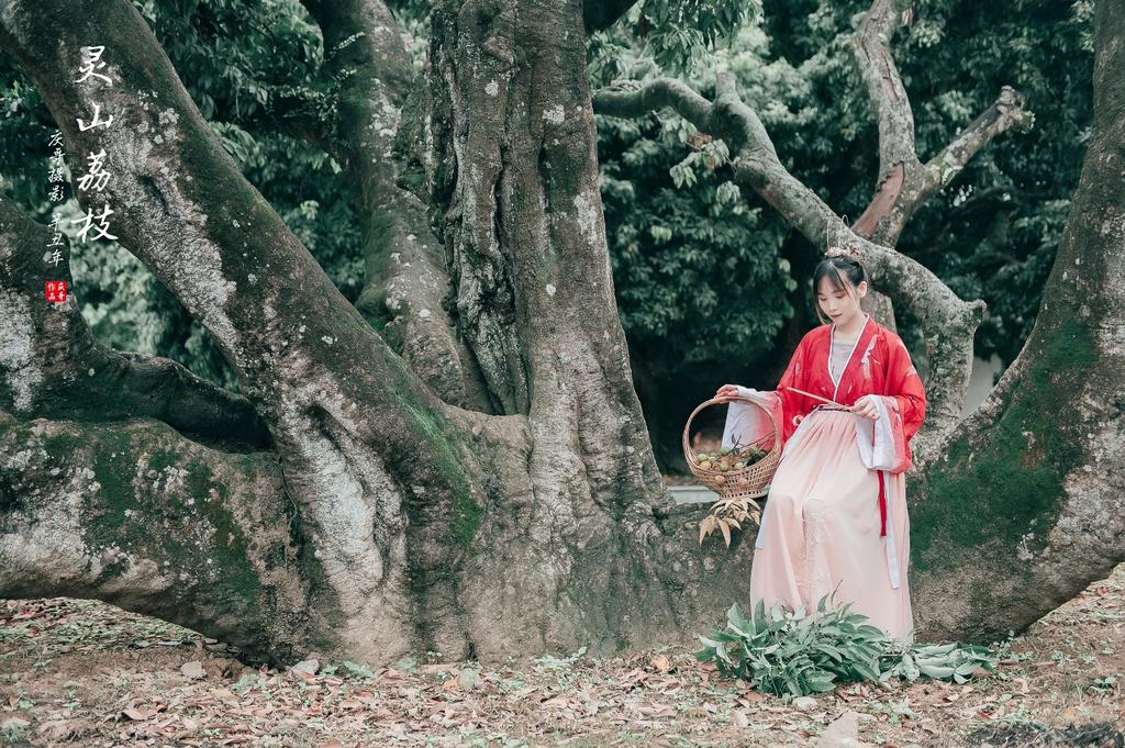 娇小玲珑汉服美女红妆素裹图片