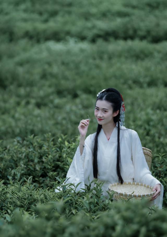 古装美女白衣飘飘茶园唯美写真