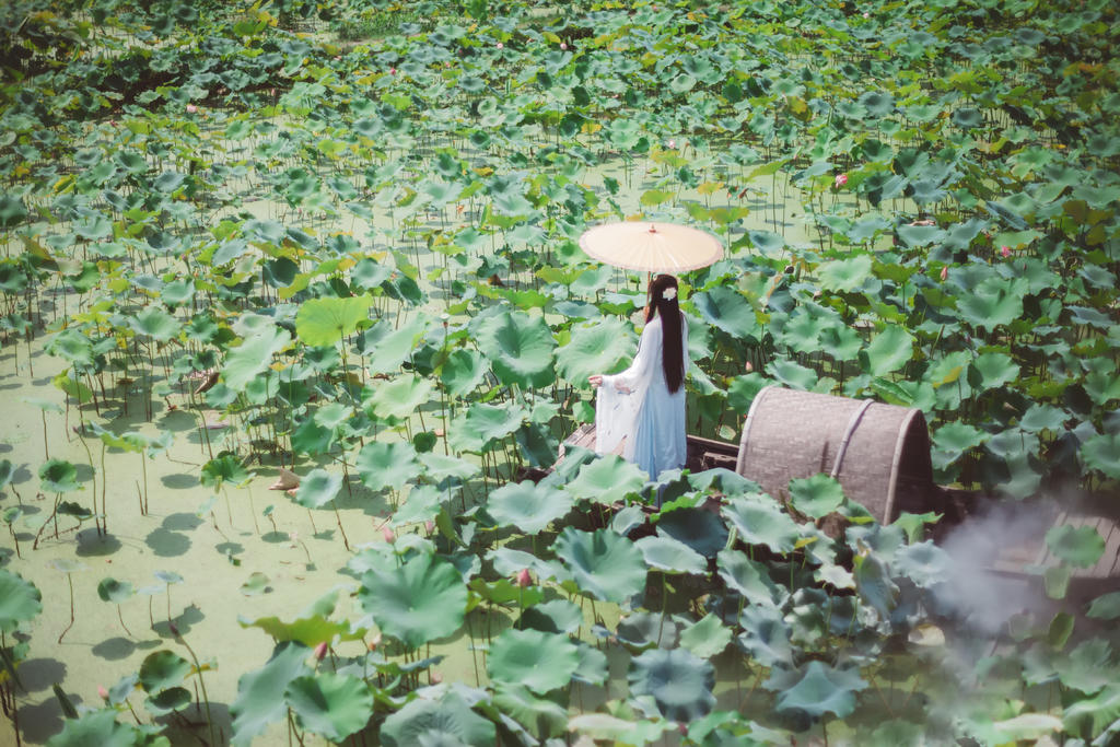 古装美女清新脱俗唯美古风摄影