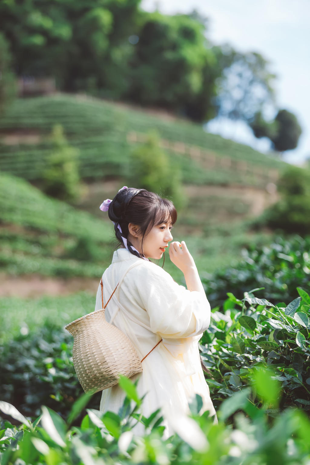 采茶叶的汉服美女秀色可餐美图