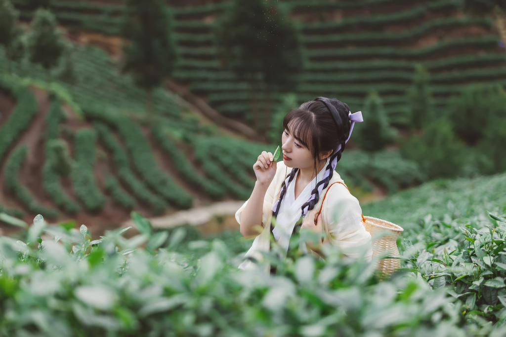 采茶叶的汉服美女秀色可餐美图