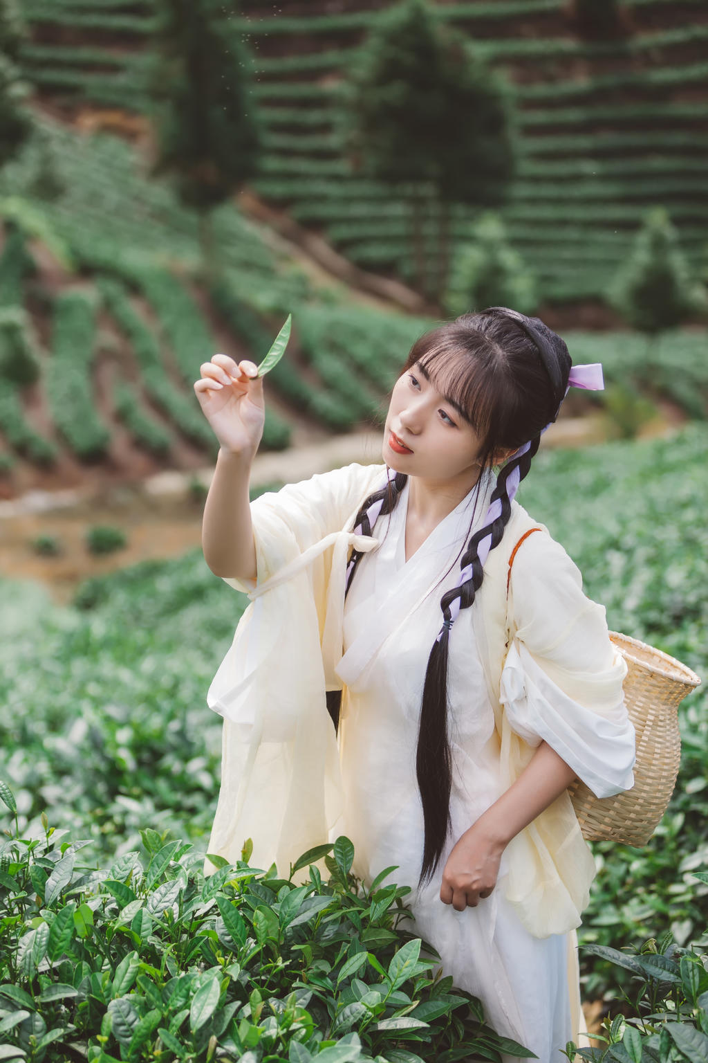 采茶叶的汉服美女秀色可餐美图