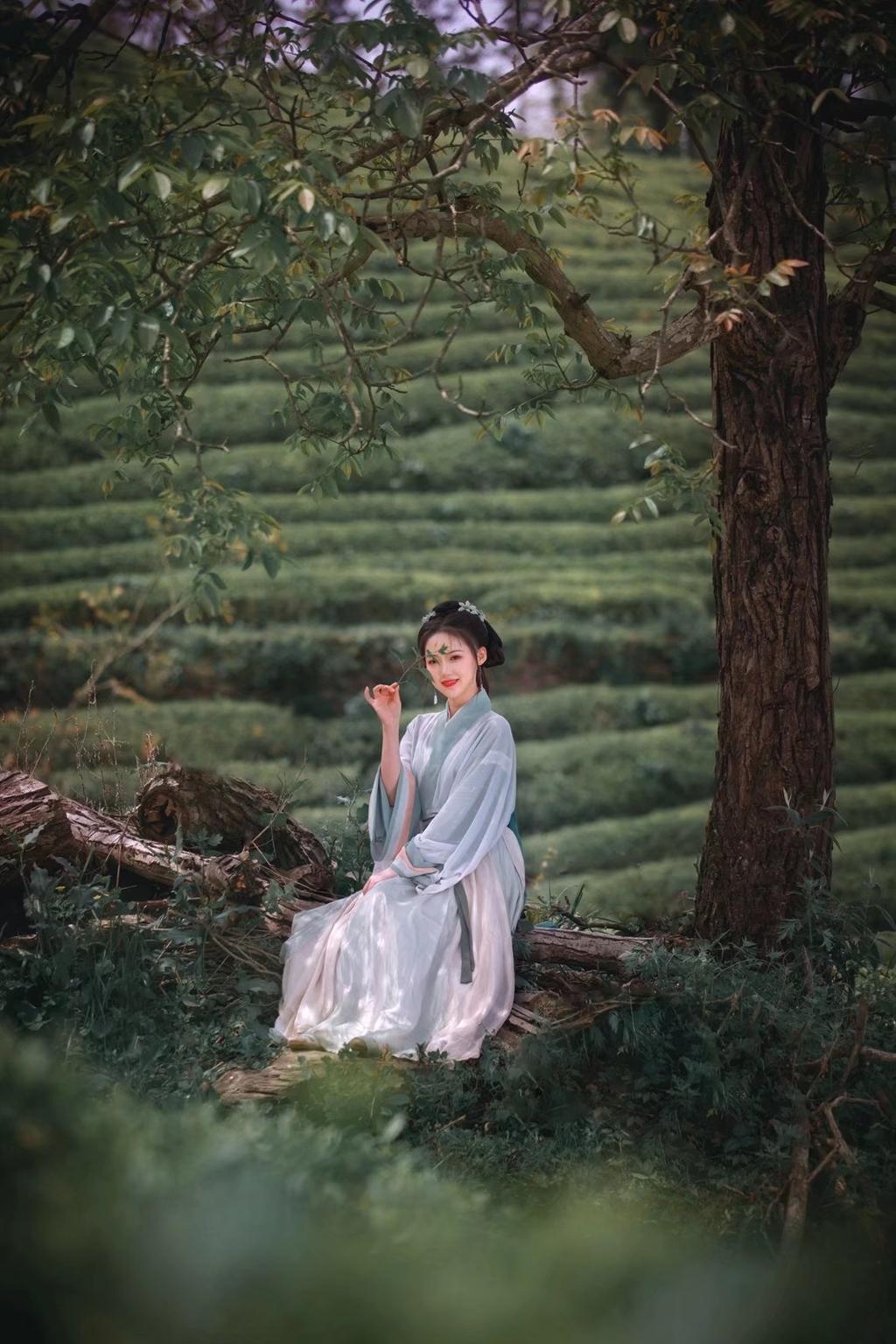 眉清目秀古装美女漫步茶园图片