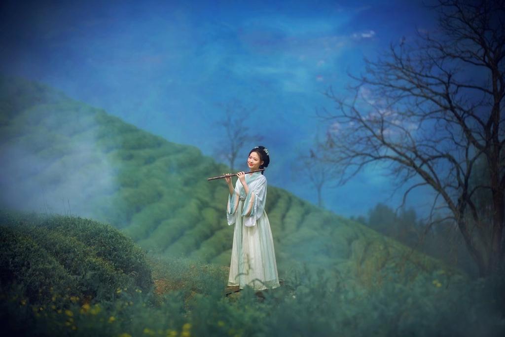 眉清目秀古装美女漫步茶园图片