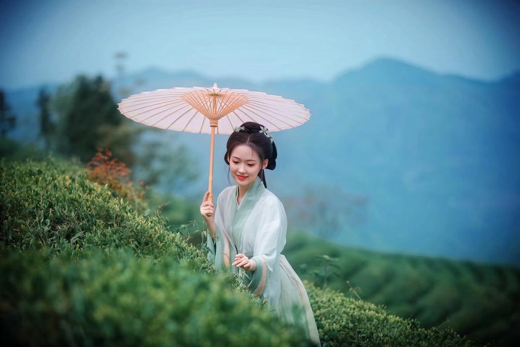 眉清目秀古装美女漫步茶园图片