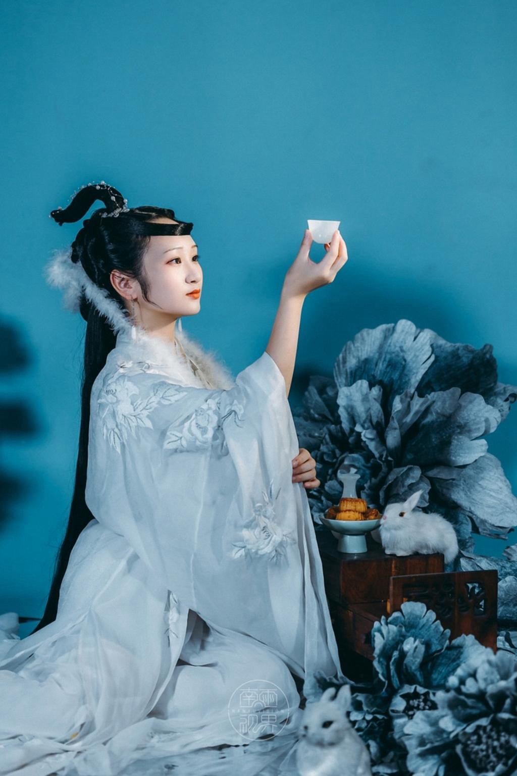 嫦娥仙子精致侧颜唯美古风摄影