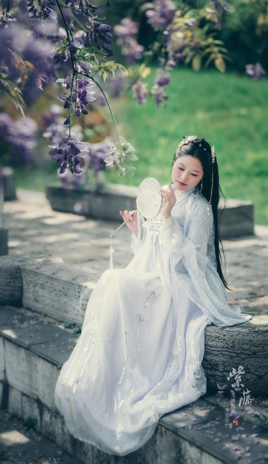 紫藤花下古装美女仙气飘飘图片