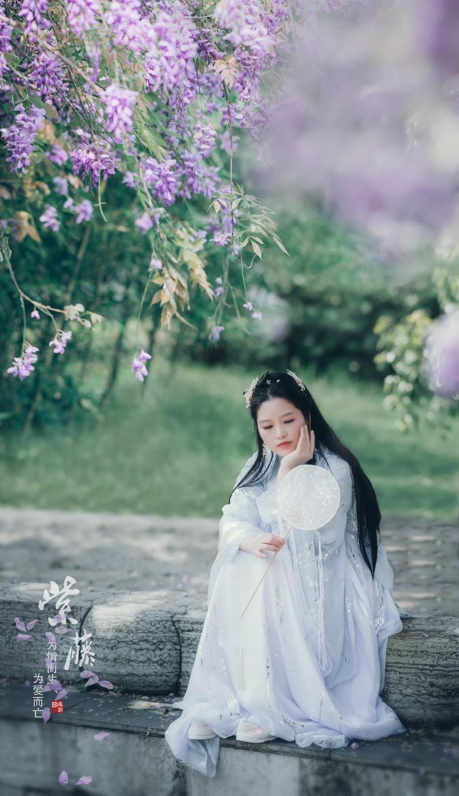 紫藤花下古装美女仙气飘飘图片