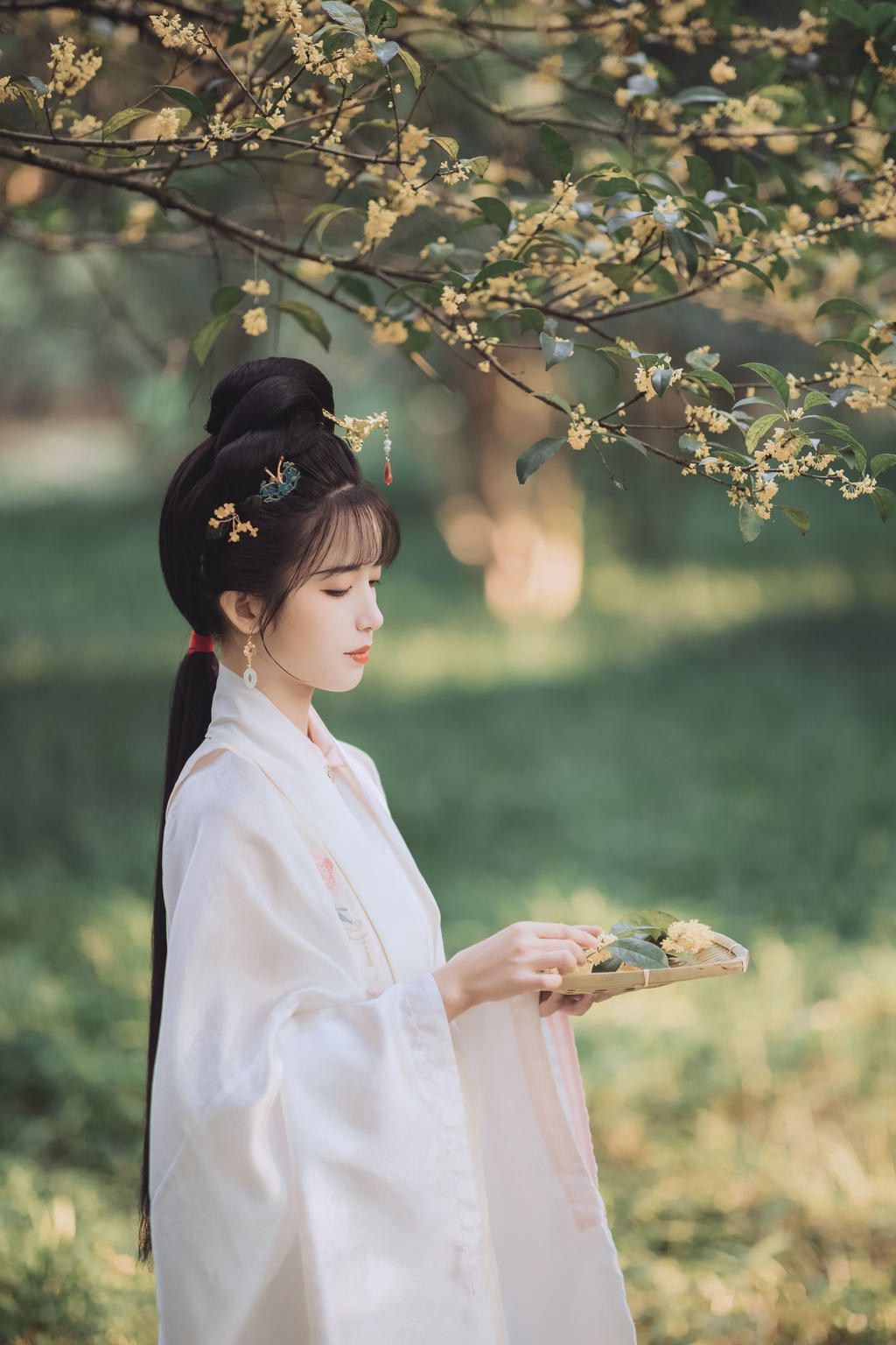 古装美女花容月貌清新脱俗图片