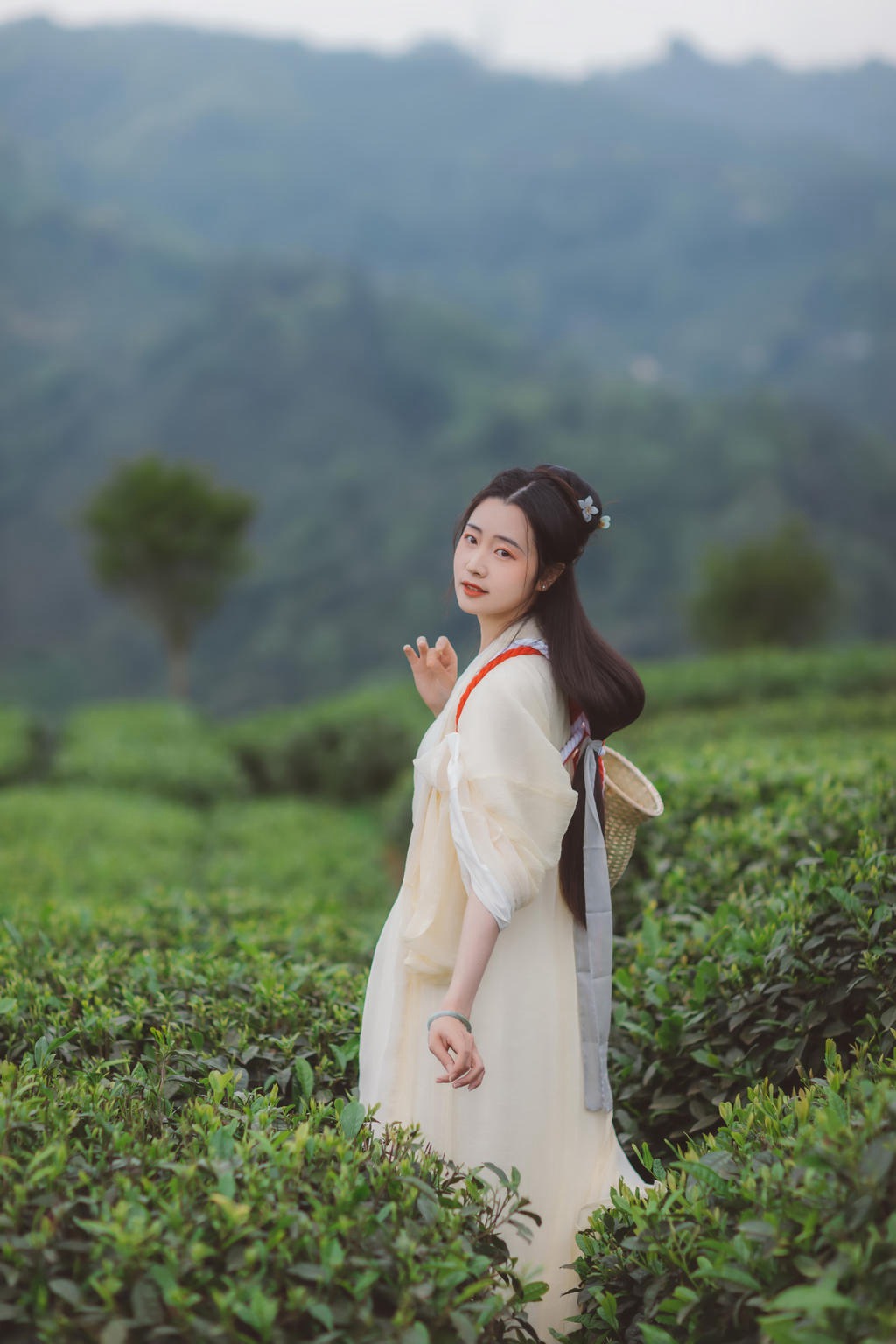茶园中的白衣美女清新脱俗写真
