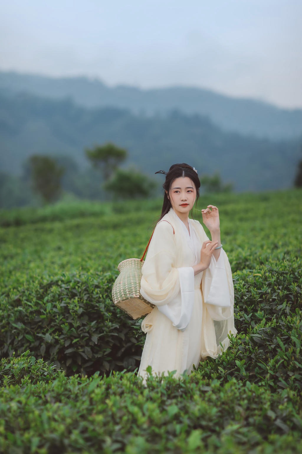茶园中的白衣美女清新脱俗写真