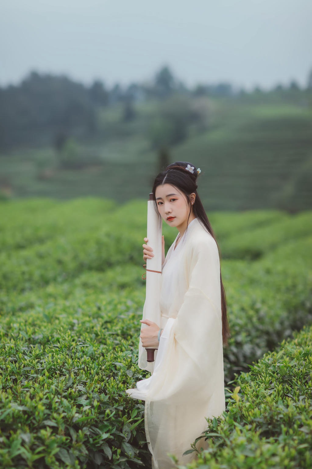 茶园中的白衣美女清新脱俗写真