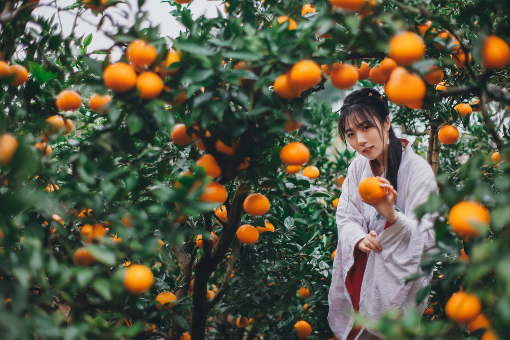 果园里的古装美女清新脱俗图片