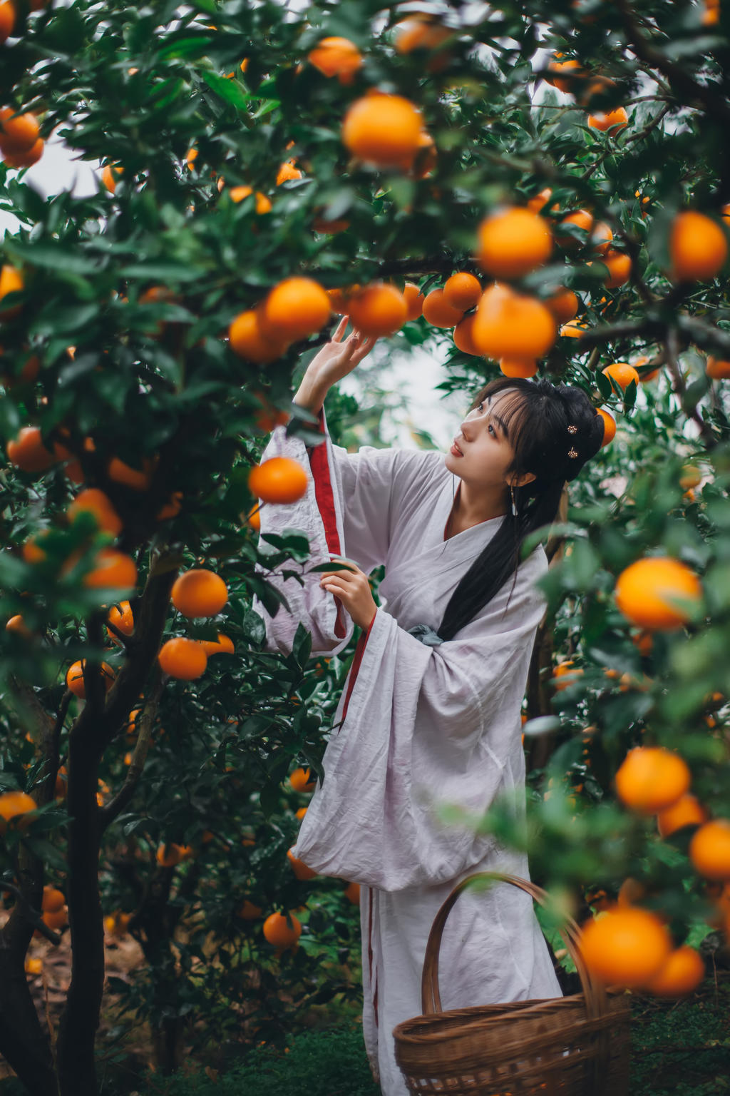果园里的古装美女清新脱俗图片