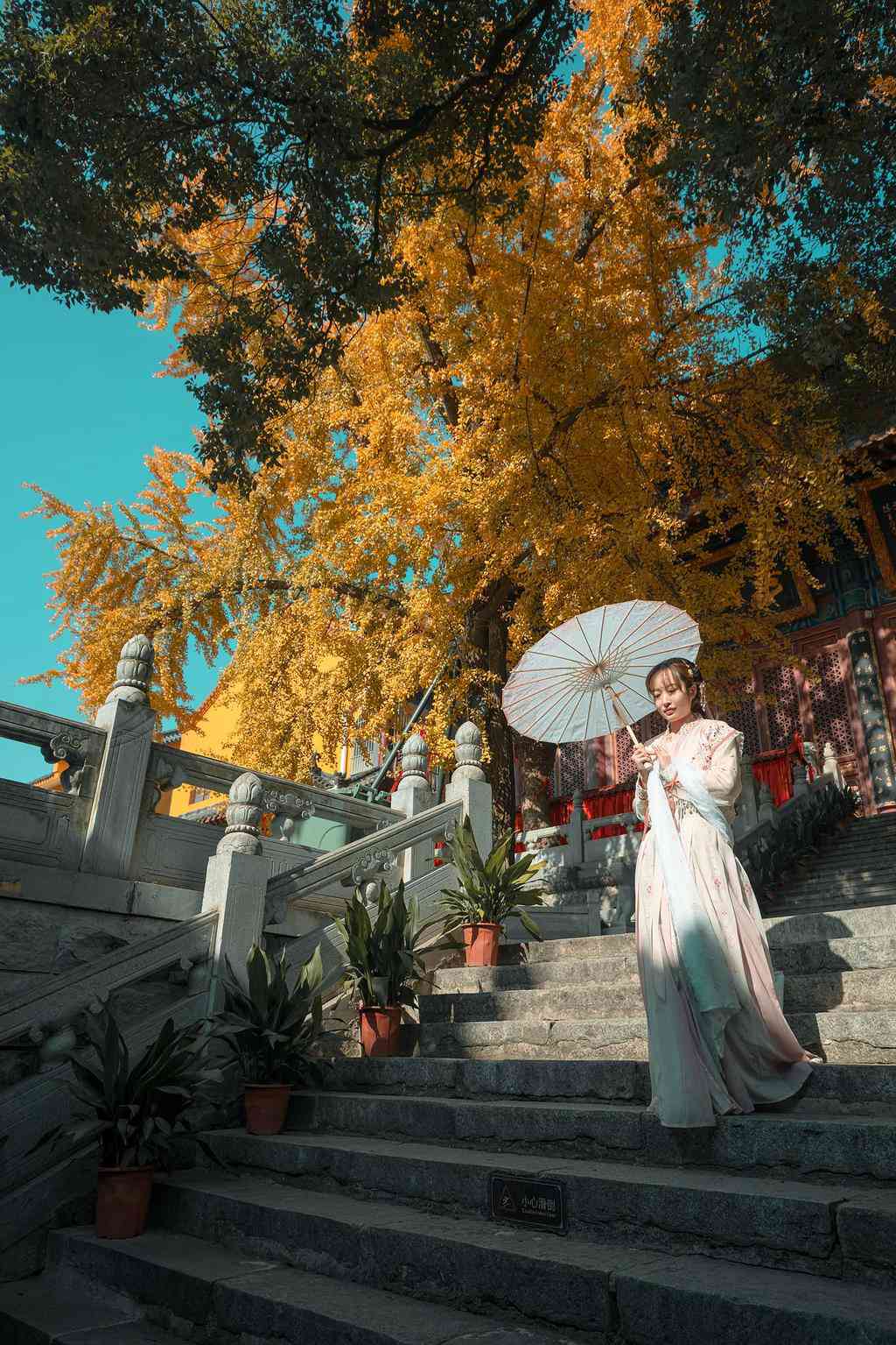 手撑油纸伞的蒙面古装美女图片