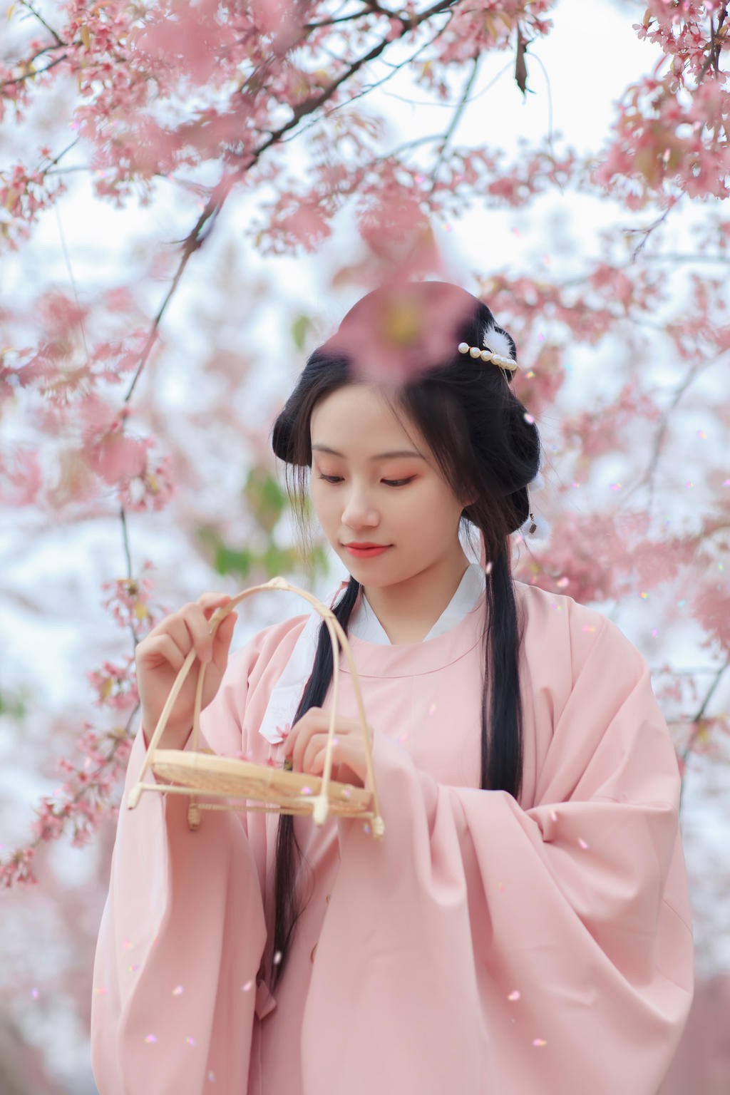 樱花树下汉服少女清新脱俗图片