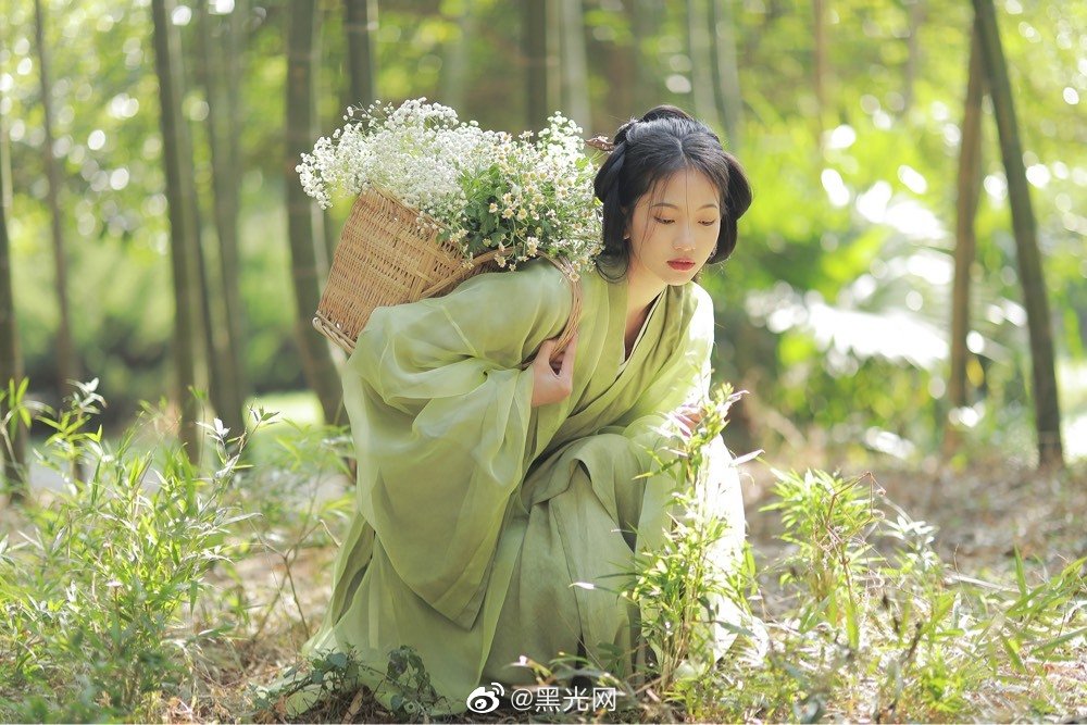 竹林中的汉服少女采摘草药图片