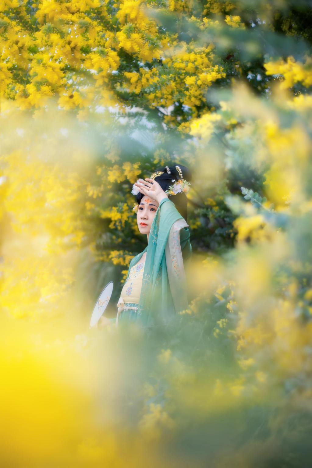 合欢花下汉服美女唯美古风摄影