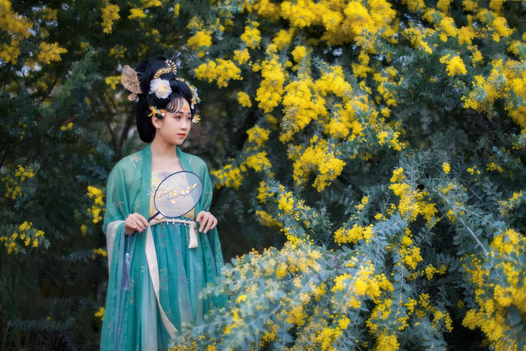 合欢花下汉服美女唯美古风摄影