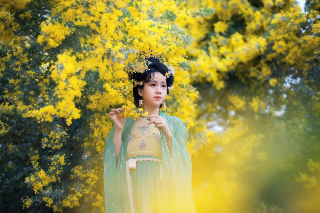 合欢花下汉服美女唯美古风摄影