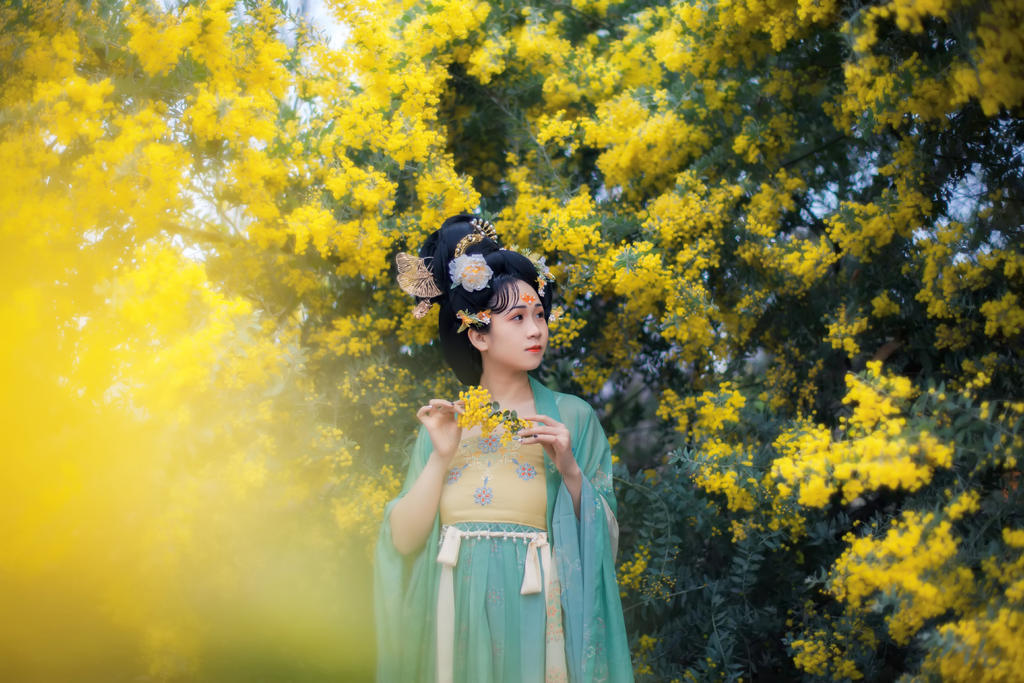 合欢花下汉服美女唯美古风摄影