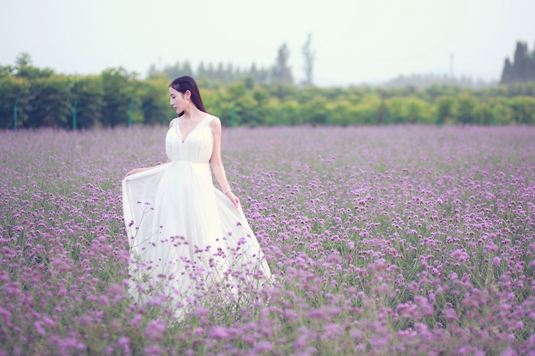 清纯少女普罗旺斯的梦