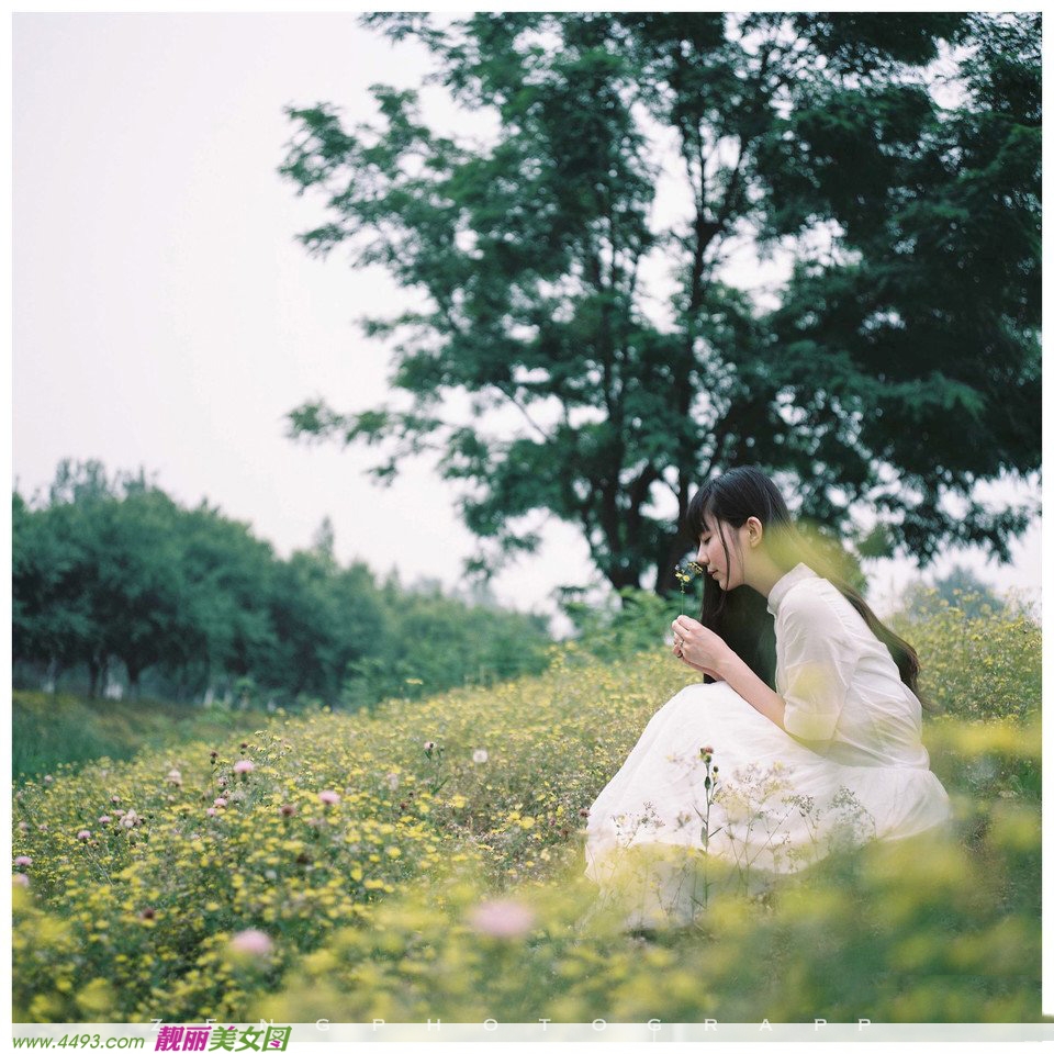 小清新淡雅清香纯白色