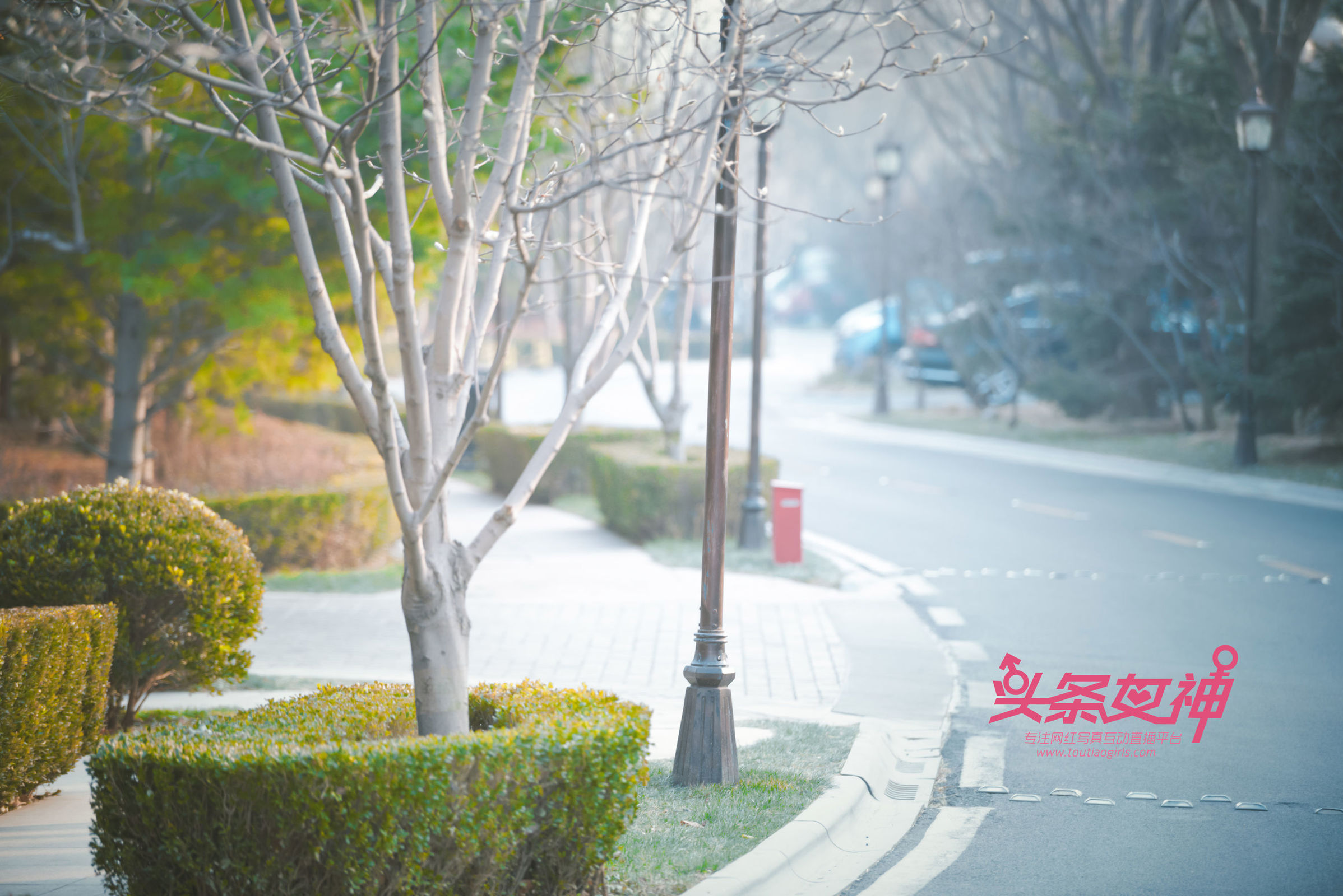 [Toutiaogirls头条女神] 韩夏汐(李梓熙) – 极致露出 丝袜美图[89P]