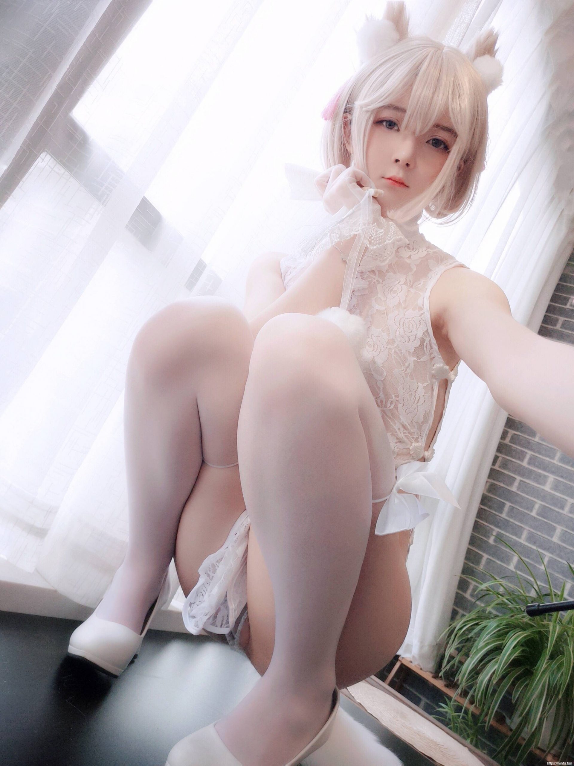 小央泽-家养小动物