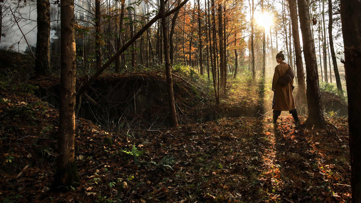 冷艳霸气的古装侠女森系唯美古装摄影图片