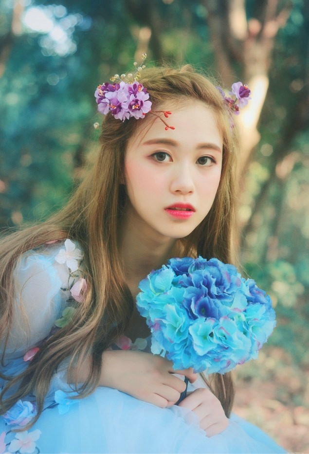 森林里的蓝精灵清新靓丽唯美可人