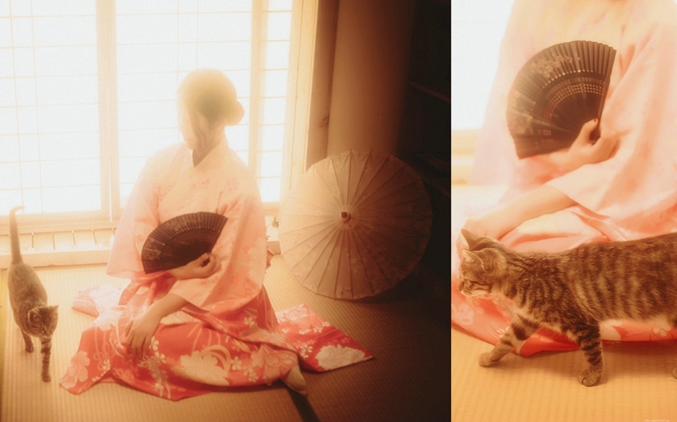 日系和服美女粉红诱惑屋内沏茶安静祥和