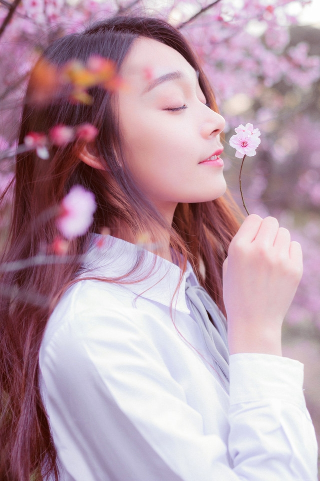 樱花树下花香美女白衬衫温婉清纯让人恋恋不忘