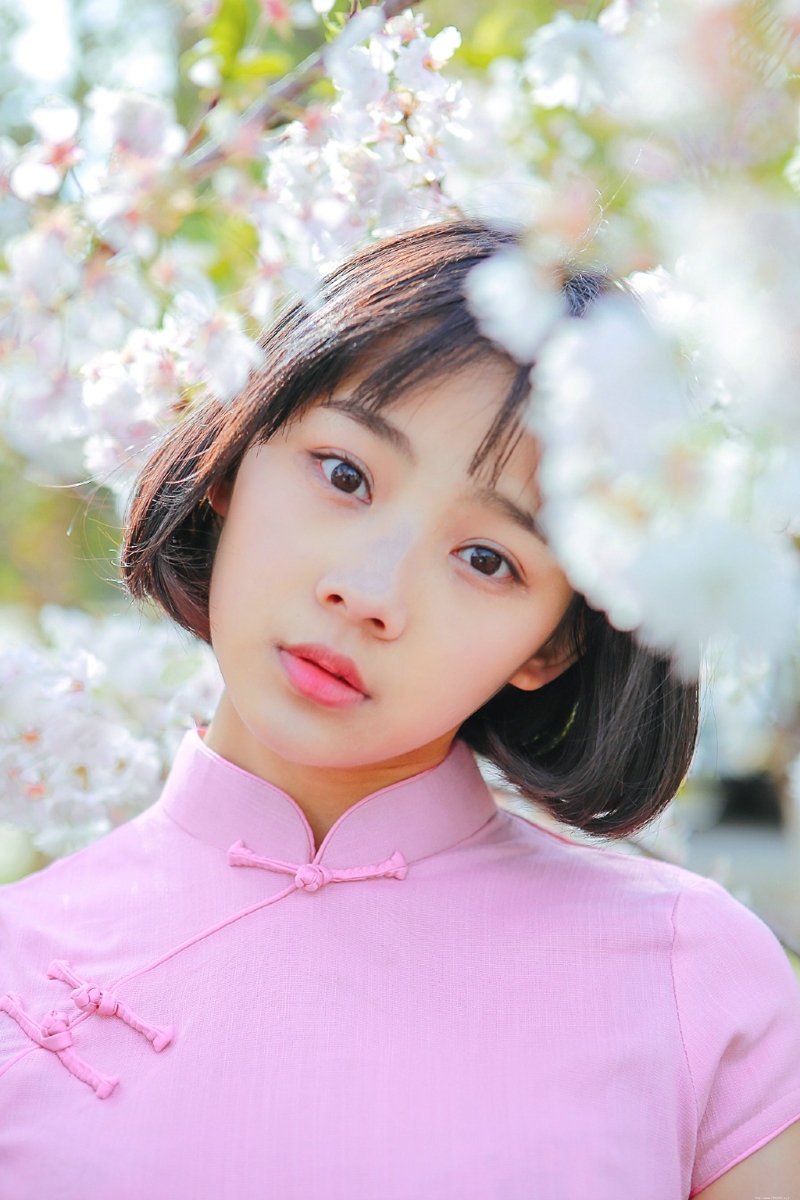 粉嫩民国风美女樱花海洋中养眼迷人