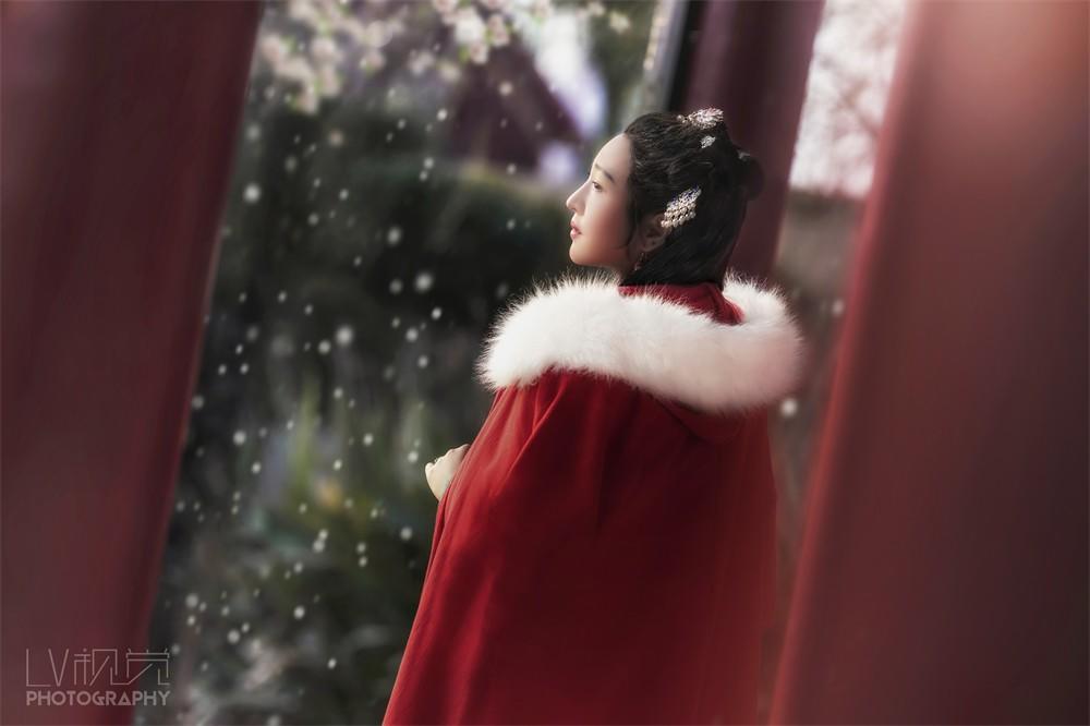 古装美女精致侧颜唯美古风摄影